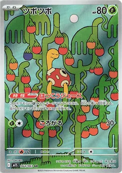Shuckle #064