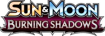 Burning Shadows
